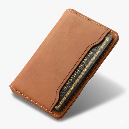 Vesvero MagWallet